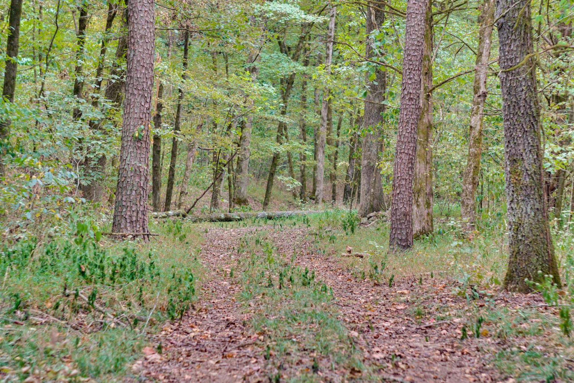Ozark Mountain Cabin Rental On 300-Acre Ranch Luaran gambar
